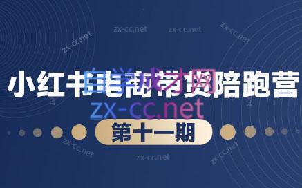 盗坤·小红书电商带货陪跑营(第十一期)-Ai创业网