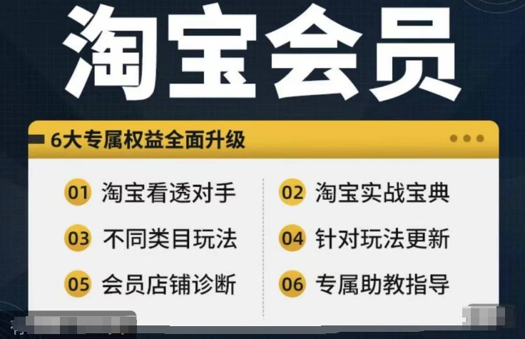 淘宝会员【淘宝所有课程，全面分析对手】，初级到高手全系实战宝典-Ai创业网
