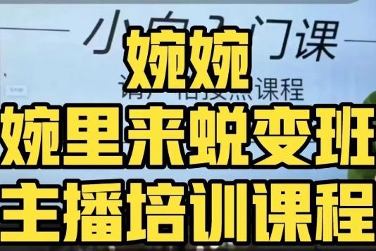 婉婉·婉里来蜕变班（主播课）全方位理解底层逻辑并灵活运用-Ai创业网