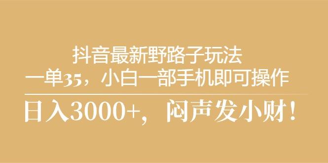 抖音最新野路子玩法，一单35，小白一部手机即可操作，，日入3000+，闷...-Ai创业网