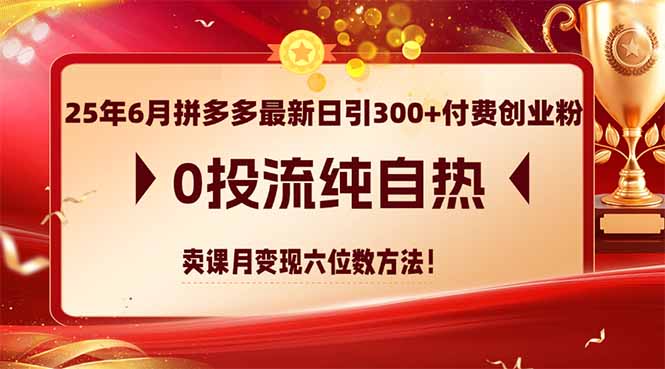 25年6月拼多多最新日引300+付费创业粉，0投流纯自热 卖课月变现六位数方法-Ai创业网