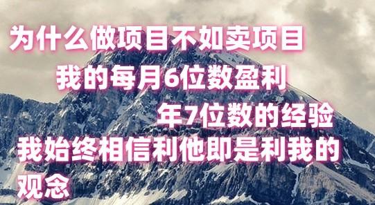 做项目不如卖项目，每月6位数盈利，年7位数经验-Ai创业网