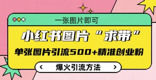 小红书图片‘求带’爆火引流法，单张图片引流500+精准创业粉【揭秘】-Ai创业网