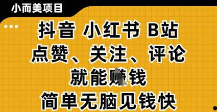 小而美的项目，抖音小红书B站视频点赞、关注、评论就能挣钱，简单无脑立见收益，妥妥的零撸项目【揭秘】-Ai创业网