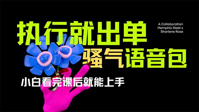 爆火全网的开车导航骚气语音包,只要执行就出单，小白看完课程就能实操...-Ai创业网