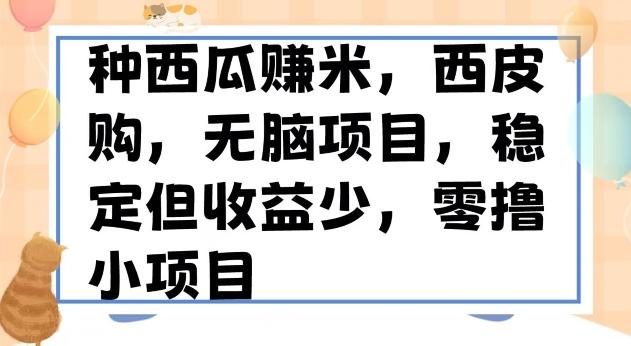 种西瓜赚米，西皮购稳定长久零撸小项目-Ai创业网