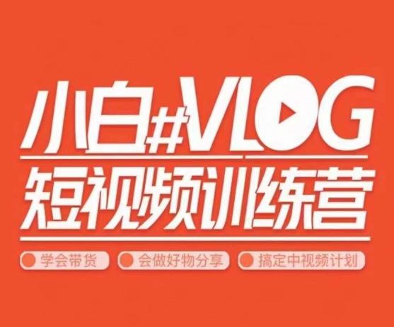 小呆说视–小白VLOG短视频训练营，学会带货、好物、直播、中视频-Ai创业网