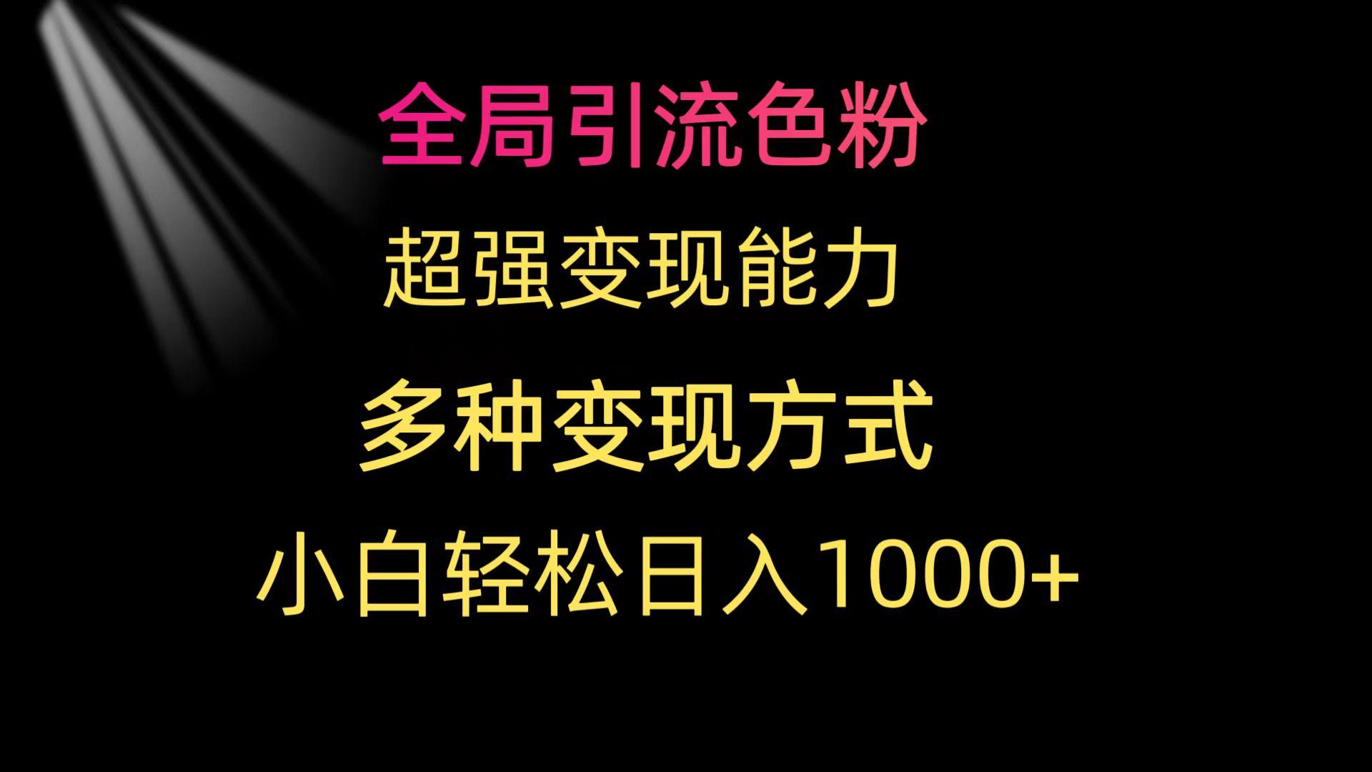 (9680期)全局引流色粉 超强变现能力 多种变现方式 小白轻松日入1000+-Ai创业网