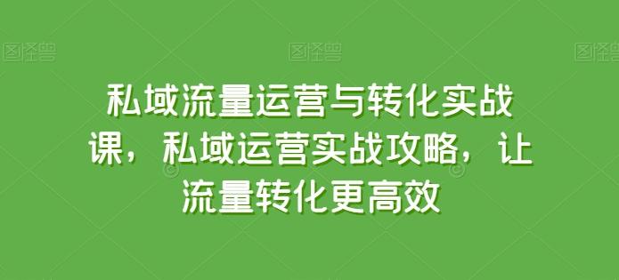 私域流量运营与转化实战课，私域运营实战攻略，让流量转化更高效-Ai创业网