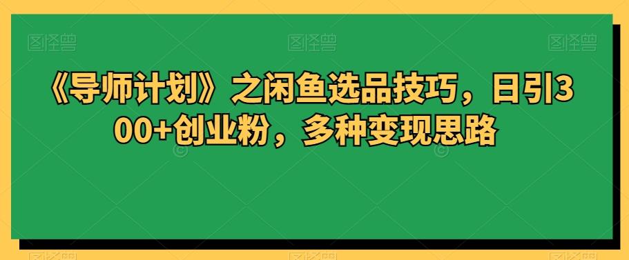 《导师计划》之闲鱼选品技巧，日引300+创业粉，多种变现思路-Ai创业网