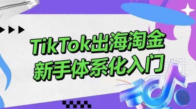 TikTok出海淘金，新手体系化入门，零基础快速入门，掌握短视频、直播带货等引流到变现的知识-Ai创业网