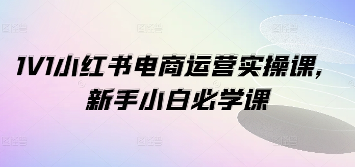 1V1小红书电商运营实操课，新手小白必学课-Ai创业网