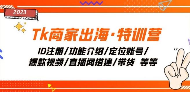 Tk商家出海·特训营：ID注册/功能介绍/定位账号/爆款视频/直播间搭建/带货-Ai创业网