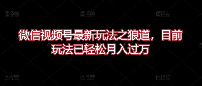 微信视频号最新玩法之狼道，目前玩法已轻松月入过万【揭秘】-Ai创业网
