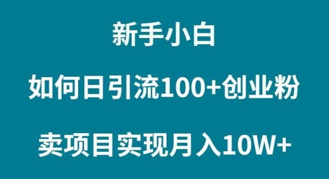 (9556期)新手小白如何通过卖项目实现月入10W+-Ai创业网