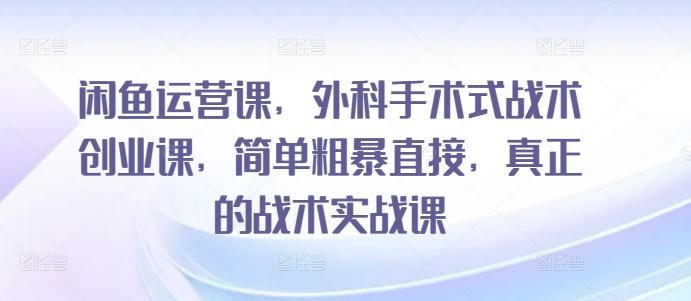 闲鱼运营课，外科手术式战术创业课，简单粗暴直接，真正的战术实战课-Ai创业网