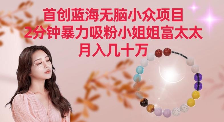 首创蓝海无脑小众项目，2分钟暴力吸粉小姐姐富太太，月入几十万【揭秘】-Ai创业网