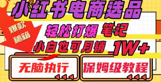 小红书电商爆款选品秘籍，帮你轻松打爆笔记，小白也可轻松月销10000+-Ai创业网
