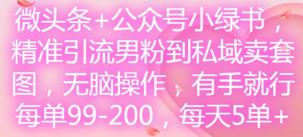 微头条+公众号小绿书，精准引流男粉到私域卖套图，无脑操作，有手就行，每单99-200，每天5单-Ai创业网