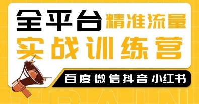 全平台精准流量实战训练营，百度微信抖音小红书SEO引流教程-Ai创业网