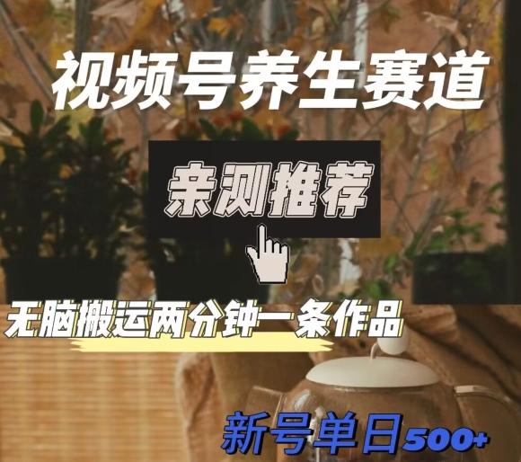 视频号养生赛道暴力掘金，无脑搬运，两分钟一条作品-新日单入500+-Ai创业网