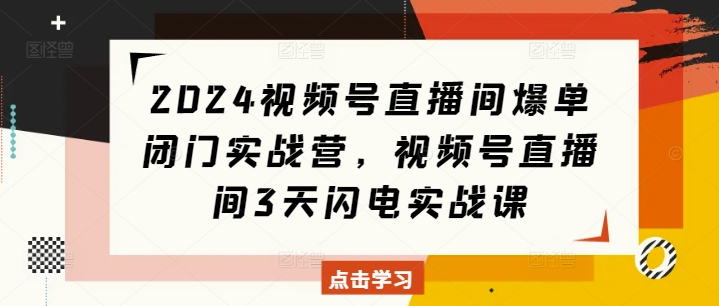 2024视频号直播间爆单闭门实战营，视频号直播间3天闪电实战课-Ai创业网
