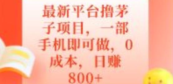 最新平台撸茅子项目，一部手机即可做，0成本，日赚800+-Ai创业网