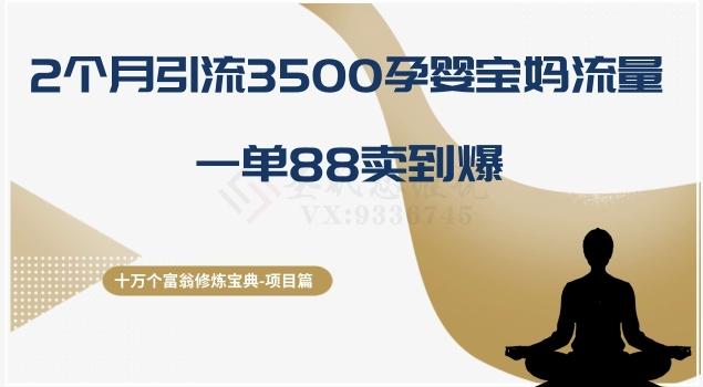 十万个富翁修炼宝典之13.2个月引流3500孕婴宝妈流量，一单88卖到爆-Ai创业网