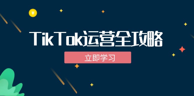 TikTok实战运营全攻略：从下载软件到变现，抖音海外版实操教程-Ai创业网