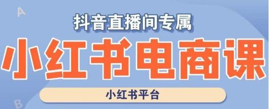 小红书电商高级运营课程，实操教学+案例分析-Ai创业网