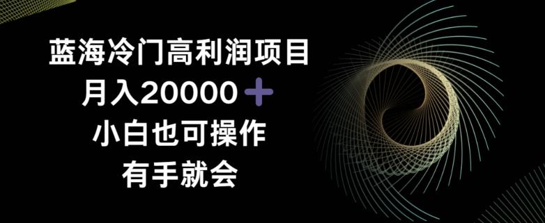 蓝海冷门高利润项目月入2000，小白也可操作有手就会-Ai创业网