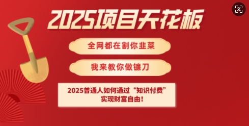 2025项目天花板普通人如何通过知识付费，实现财F自由【揭秘】-Ai创业网
