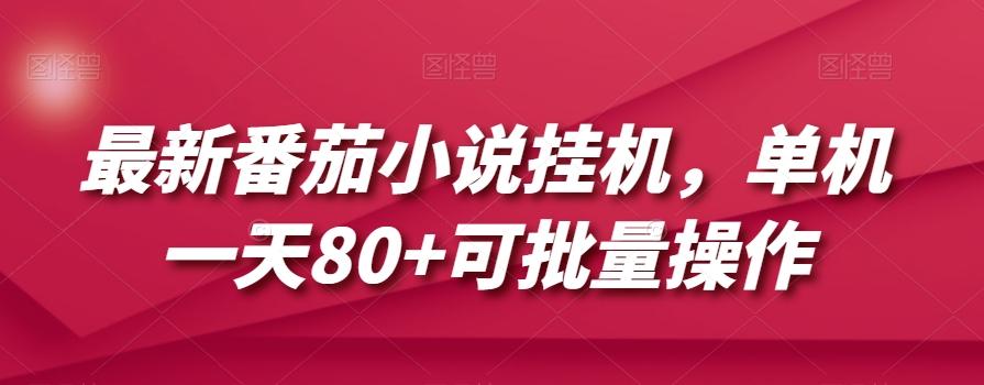 最新番茄小说挂机，单机一天80+可批量操作【揭秘】-Ai创业网