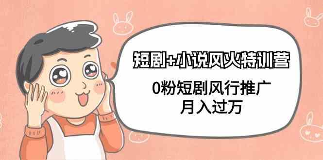 小说+短剧风火特训营，0粉短剧小说风行推广，实现月入过万-Ai创业网