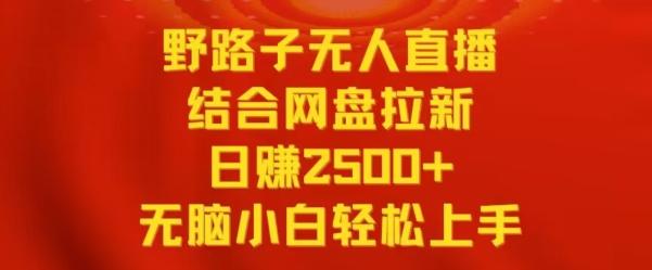 野路子无人直播结合网盘拉新，日赚2500+，小白无脑轻松上手【揭秘】-Ai创业网